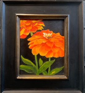 Orange Zinnias