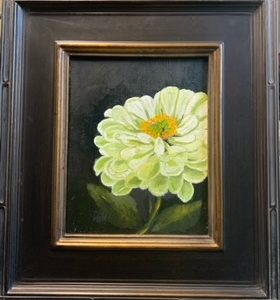 White Zinnia
