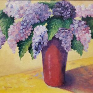 Hydrangeas