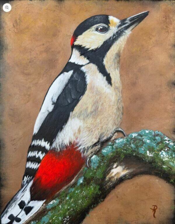 The Great Spotted Male Woodpecker