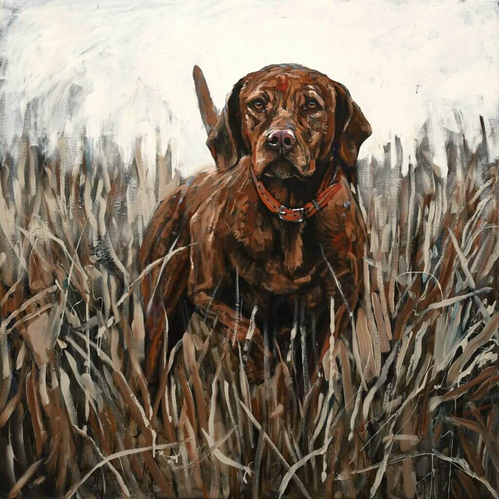 Vizla