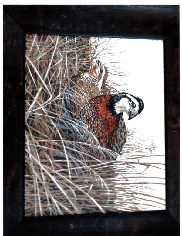 Quail Pair