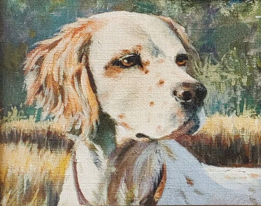 English Setter (Head Study)