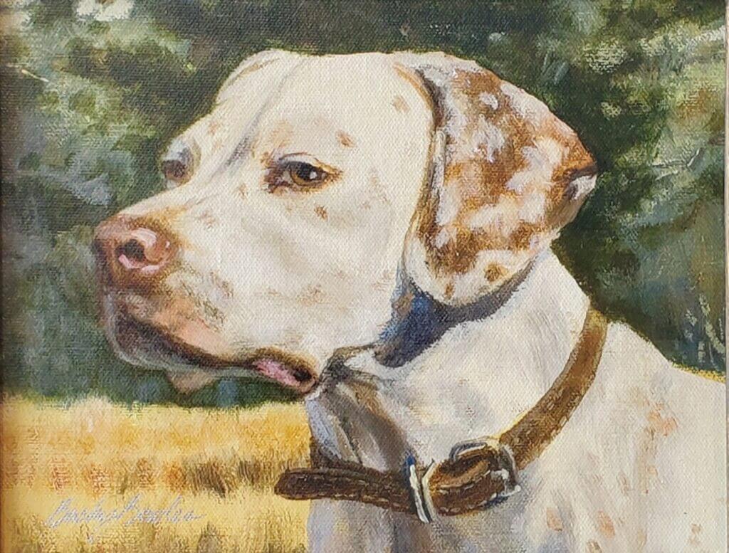 English Pointer (Head Study)