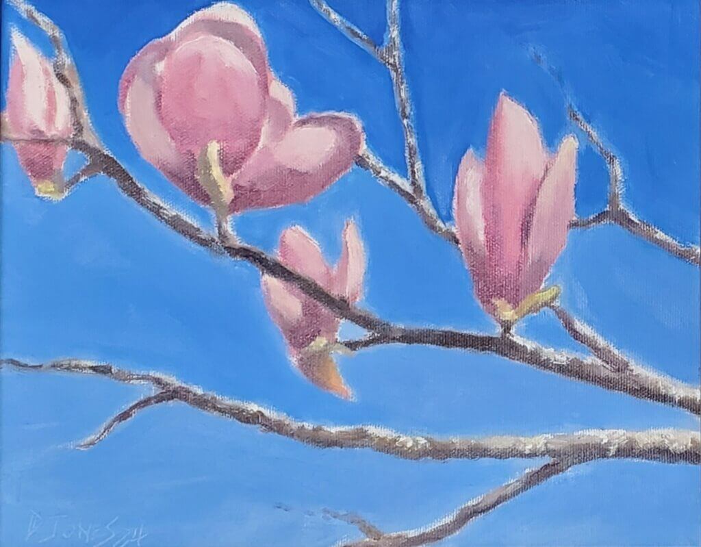 Japanese Magnolia with Blue Sky