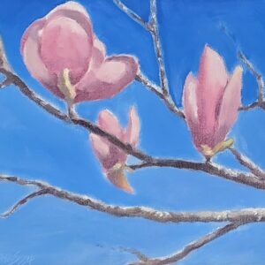 Japanese Magnolia with Blue Sky