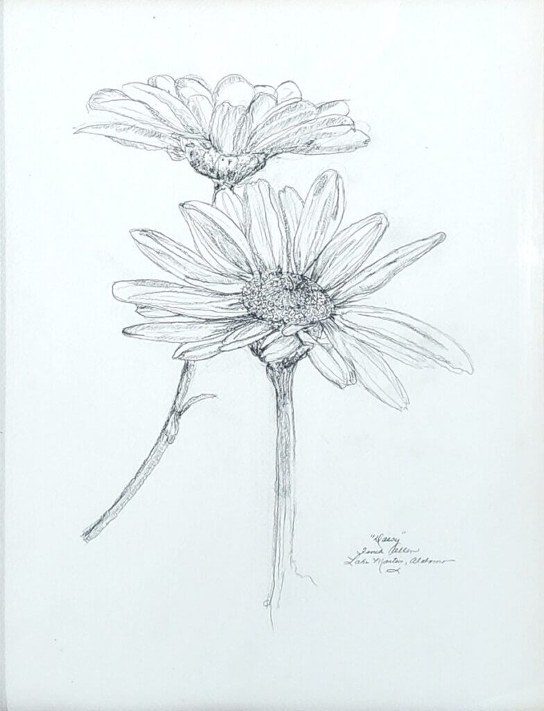 Daisy