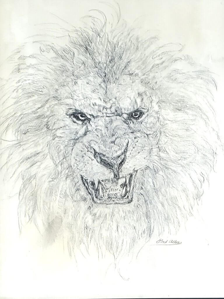 Lion Roaring