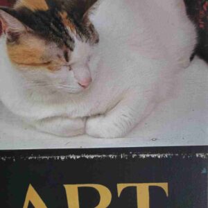 Cat = ART