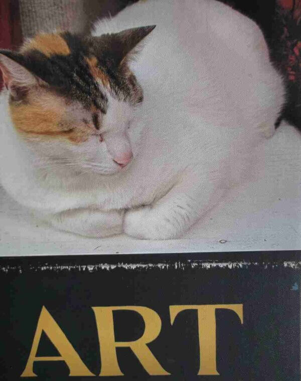 Cat = ART