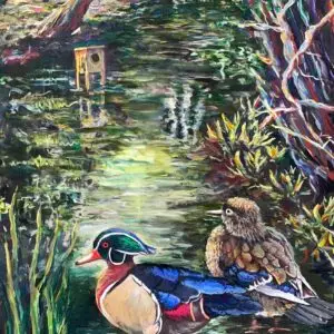 Wood Ducks Looking for a Home