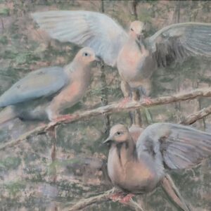 Morning Mourning Doves