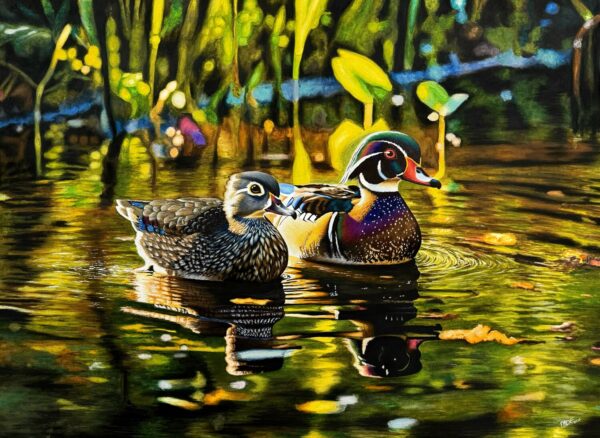 Wood Ducks at Dawn