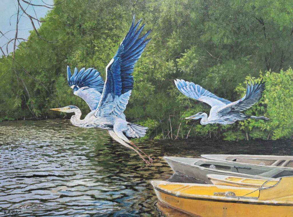 Herons in the Wetlands