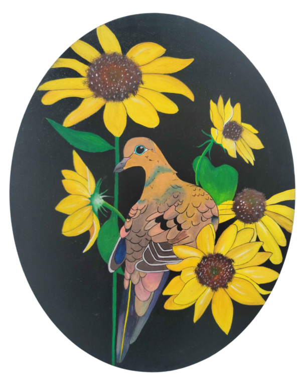 Mourning Dove in Sunflowers