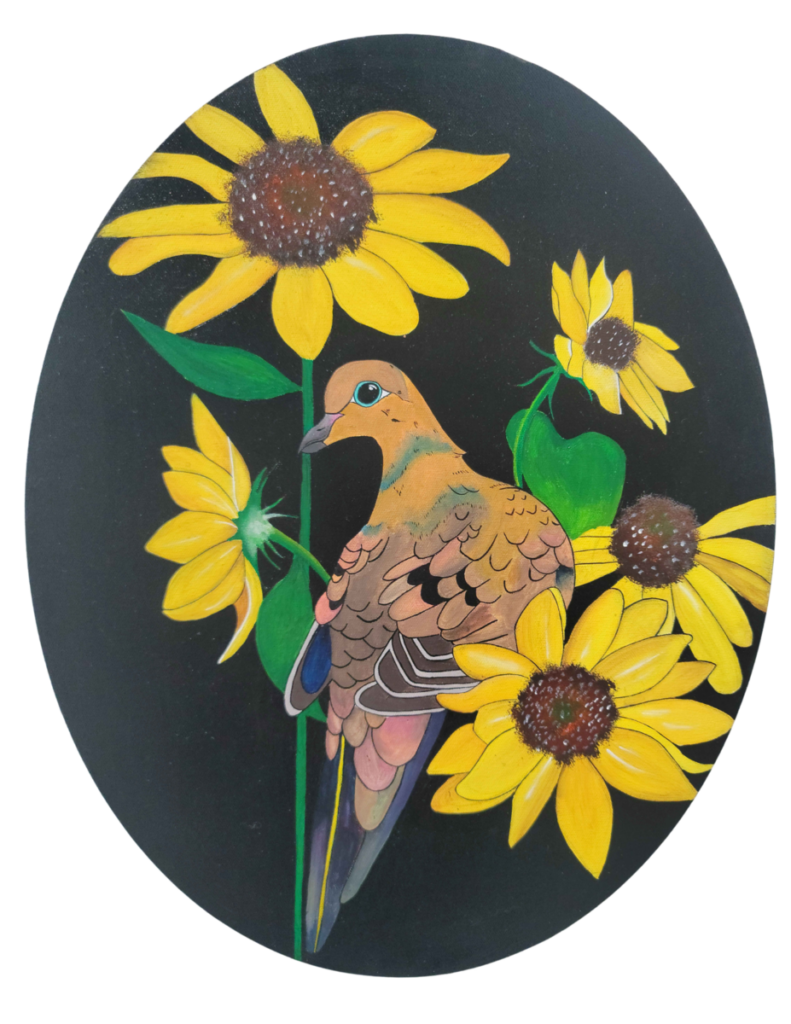 Mourning Dove in Sunflowers