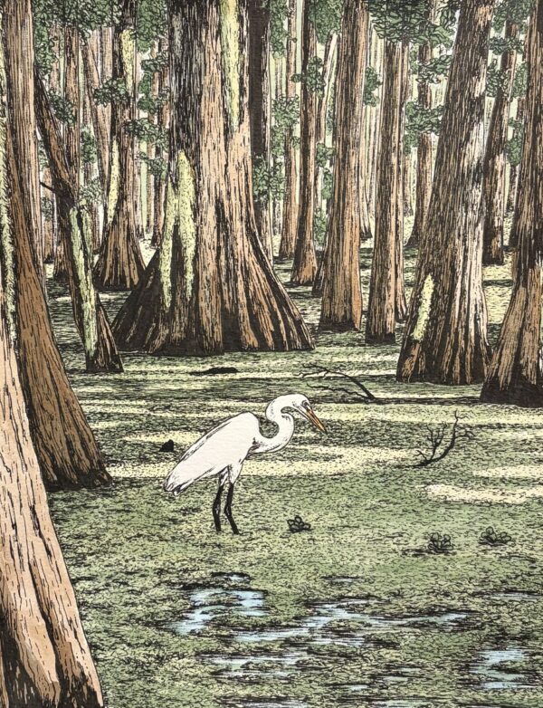 Essence of an Egret in a Southern Swamp