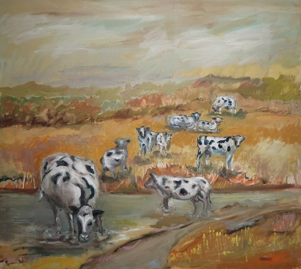 Cows