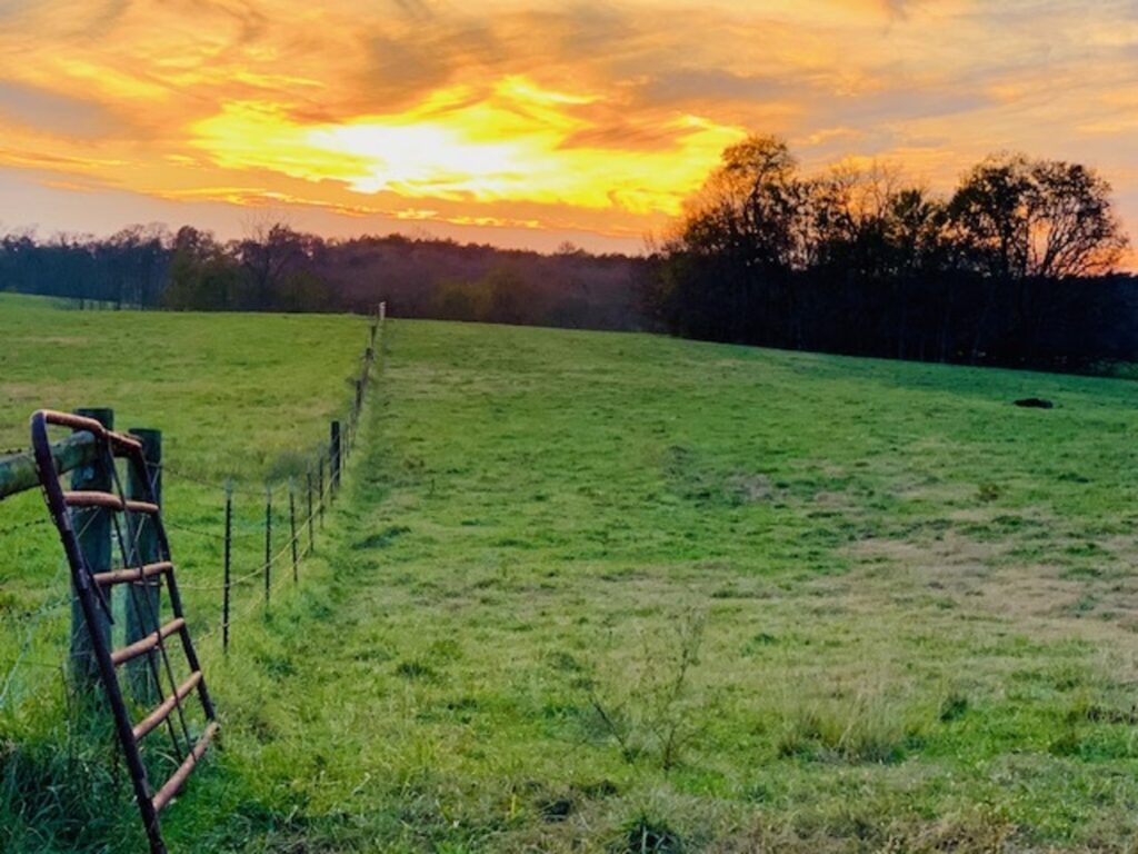 Sunset over the Pasture