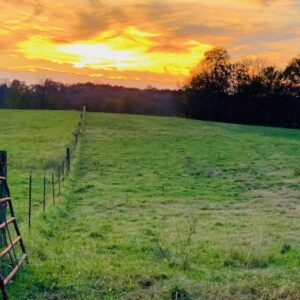 Sunset over the Pasture