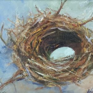 Bird Nest