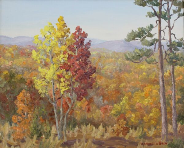 Scenes of Seasons Near Hatchet Creek (Fall)