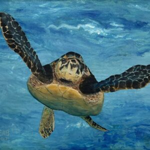 Swimming Free