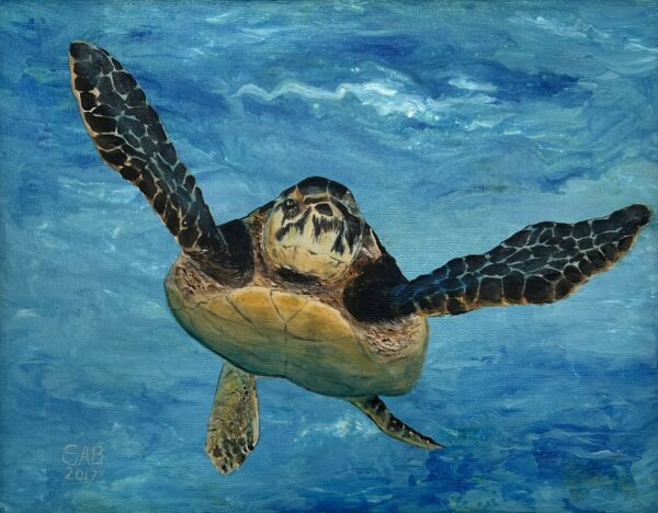 Swimming Free