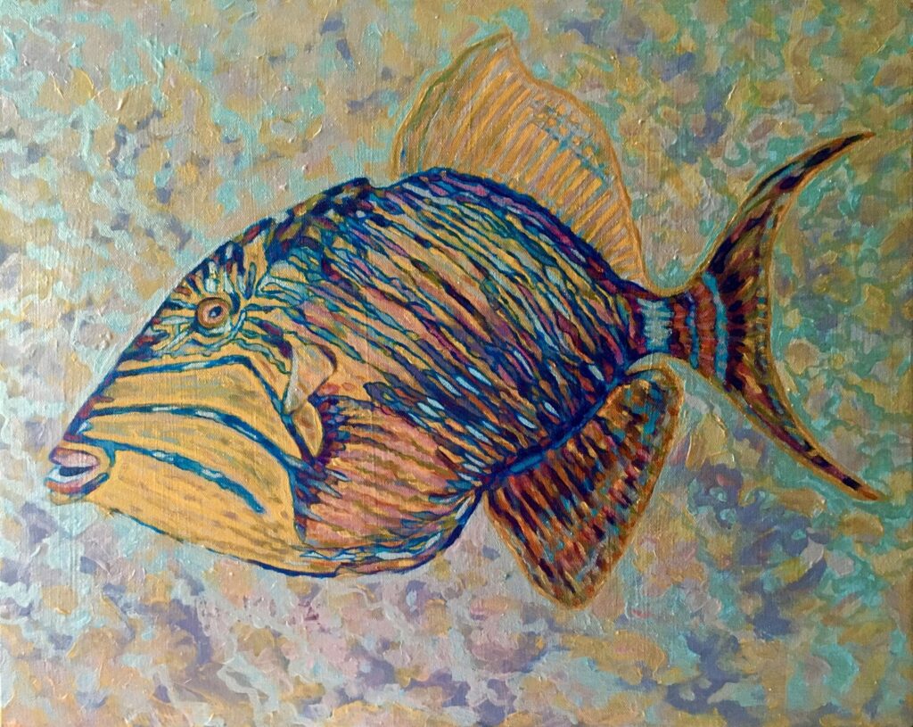 Triggerfish