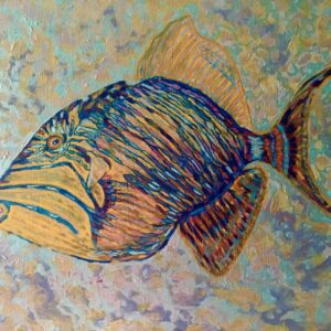 Triggerfish