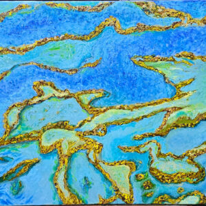 The Great Barrier Reef "A Moment in Time"