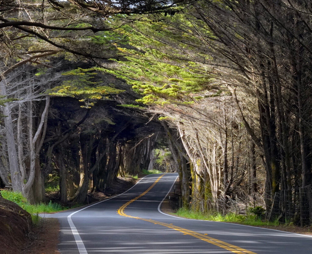 Early Morning Light on California Route 1