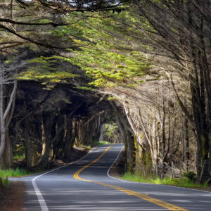 Early Morning Light on California Route 1