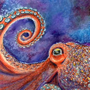 Ocular Octopus