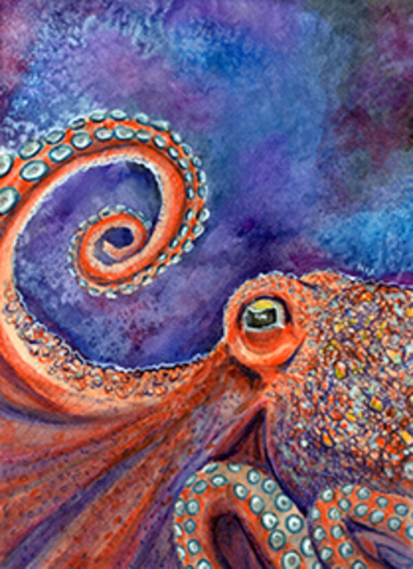 Ocular Octopus