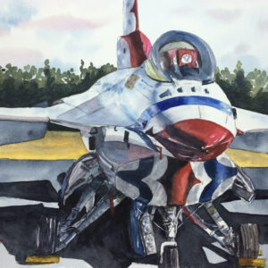 Resting Thunderbird F-16