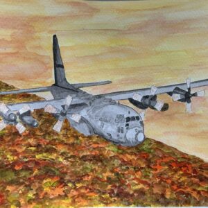C130H: 908th Air Lift Wing