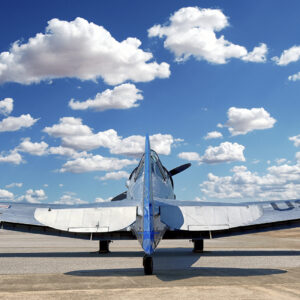 Into the Wild Blue Yonder