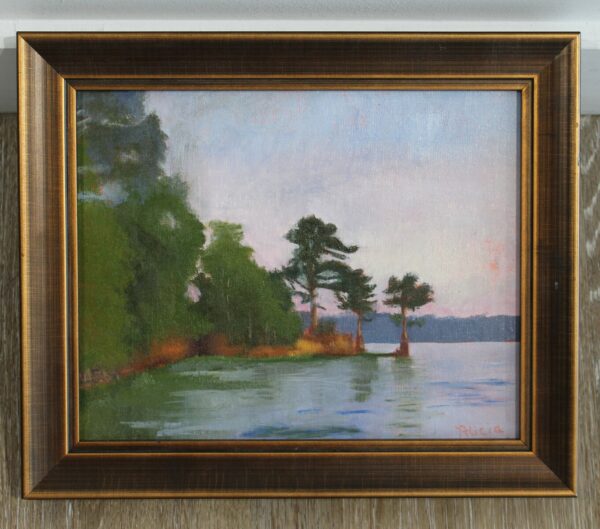 Point on Lake Jordan