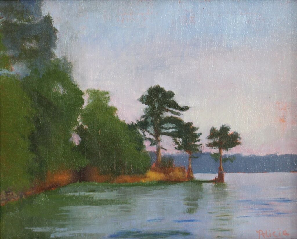 Point on Lake Jordan
