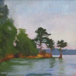 Point on Lake Jordan