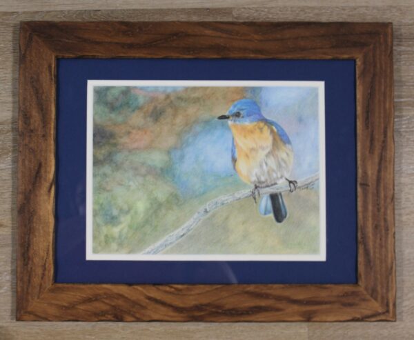 Bluebird Waiting