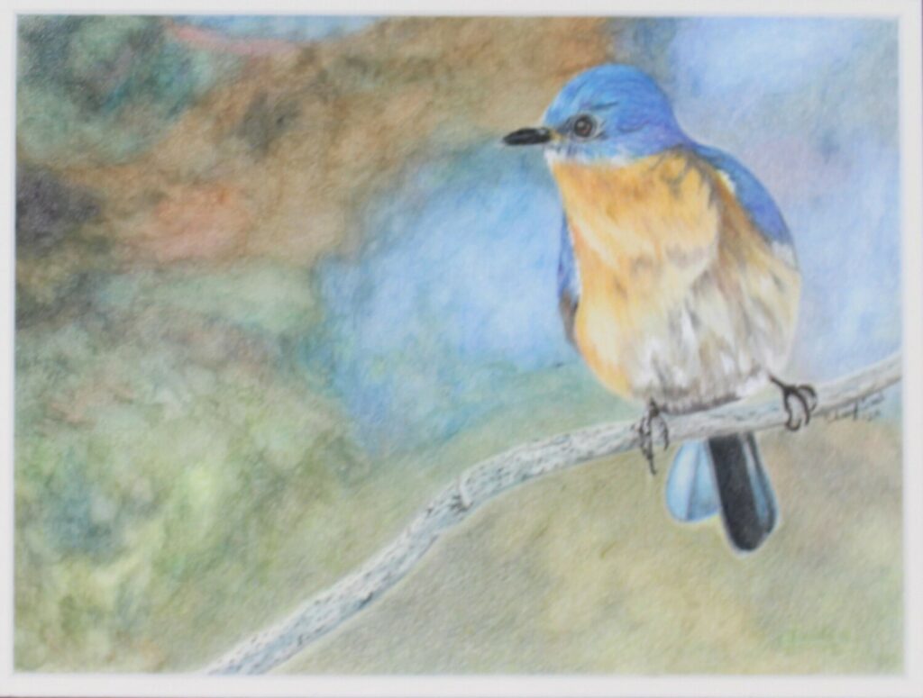 Bluebird Waiting