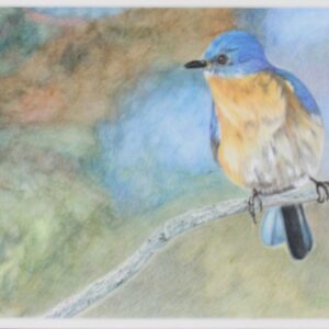 Bluebird Waiting