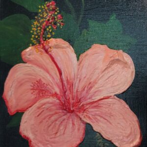 Coral Hibiscus