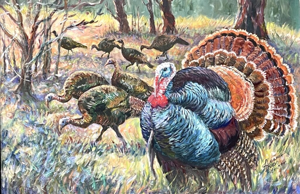 Wild Turkeys on the Run