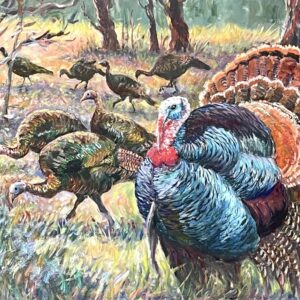 Wild Turkeys on the Run
