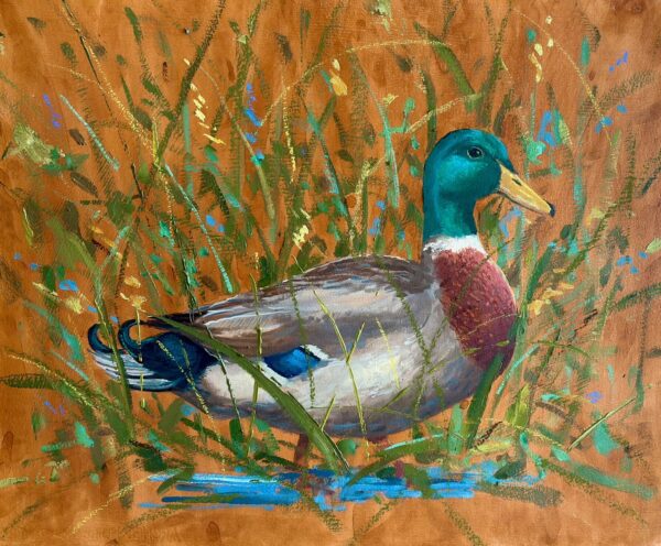 Stately Drake
