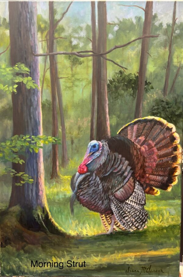 Morning Strut