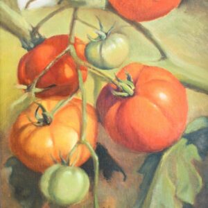 Vine Ripe Tomatoes